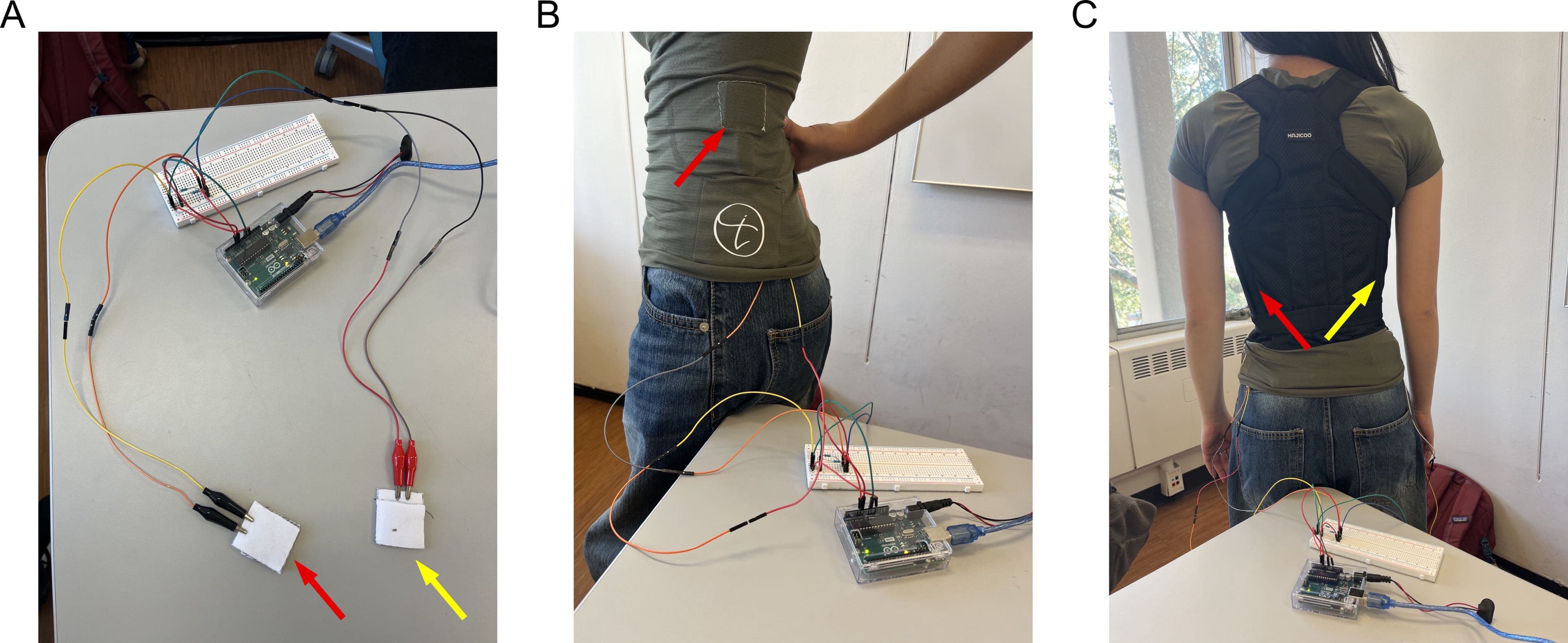 Capstone Project BraceForward: compression brace.